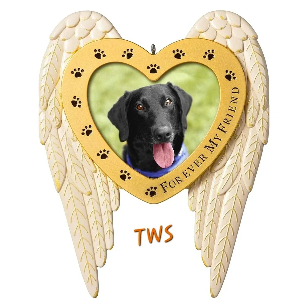 Hallmark 2020 Forever My Friend Angel Wings Heart Pet Memorial Photo Ornament
